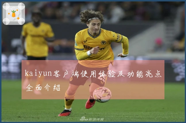 kaiyun客户端使用体验及功能亮点全面介绍