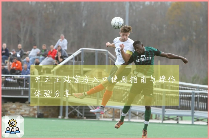 开云主站官方入口使用指南与操作体验分享
