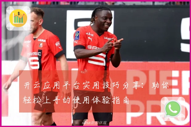 开云应用平台实用技巧分享：助你轻松上手的使用体验指南